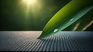 Yoga Systems Address Stress Proposing Hatha Nature Sound Sequences