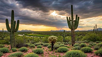 Why Southwest Monsoon Discounts Make Eco Tourism Unbelievably Cheap Right Now