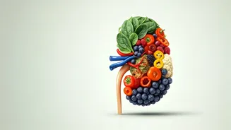 Kidney Health: Foods to Embrace & Avoid for Wellness