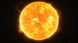 How Solar Storm Networks Provide Vital Space Weather Warnings For Power Systems