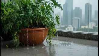 Urban Balcony Gardens Need Better Drainage To Handle Intense Monsoon Showers