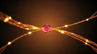 Love's Gentle Haze: Understanding the Japanese Proverb 'Ai wa Mōmoku'