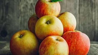 Kashmir’s Apple-Crushing Season: Cooperatives Scale Cold Storage To Keep Produce Fresh