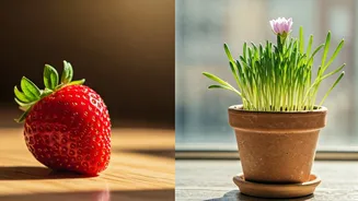 The Garden of Lasting Joy: Unearthing Wisdom from an Ancient Chinese Proverb