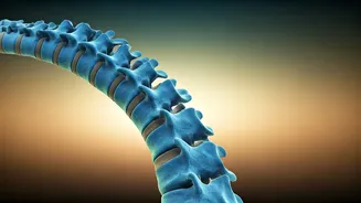 Unlock Spinal Suppleness: Ancient African Moves for a Flexible Back