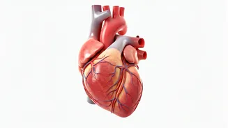 Milk's Mystery: Could Dairy Affect Heart Health?