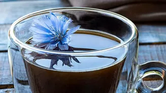Coffee-Chicory Packs Face a Clearer Standard for Declaring Blend Composition