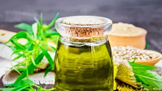 Cold-Pressed Seed Oils vs Refined Oils: Choosing Heart-Healthy Options For Daily Cooking