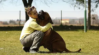Como construir um forte vínculo com o seu cão? Estudo responde!