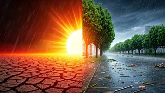Seasonal Weather Is Becoming Daily-Life Content