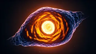 Sunlight's Paradox: Why You Might Be Vitamin D Deficient Despite Daily Exposure