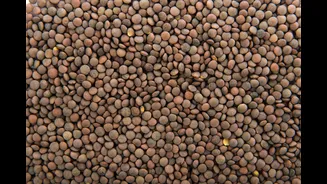 Farinha de lentilha: descubra os benefícios dessa opção para receitas veganas