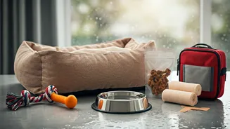 The Monsoon Checklist Every Pet Parent Needs