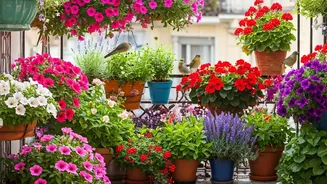 10 Blossoming Balcony Blooms: Attract Birdsong!