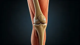 Knee Pain on Stairs? Decoding Why Your Knees Ache Climbing But Feel Fine Walking