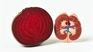 10 Beetroot Wonders: Kidney-Friendly Eating