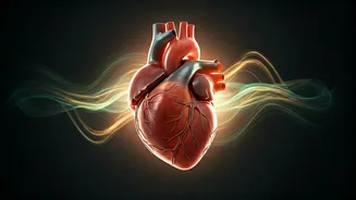 Related Stories banner