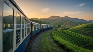 Luxury-On-A-Budget Tourist Trains Capture Gen Z Interest With Viral Heritage Itineraries