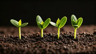 Unlock Relationship Potential: 4 Crucial Green Flags for New Daters