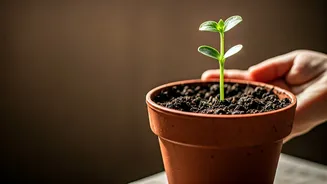 Related Stories banner