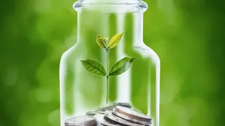 Emergency Fund vs Liquid Funds for Creators
