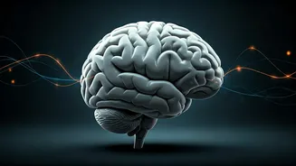 The Mid-20s Relationship Reset: Understanding the 'Frontal Lobe Breakup' Phenomenon