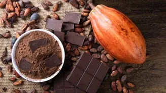 Classic recipes where cocoa steals the spotlight