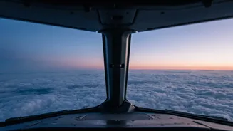 Pilot Emergency Protocols: How Flight Crews Respond When One Pilot Cannot Continue