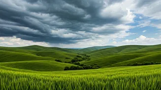 Vagamon Meadows Offer The Most Instagrammable Rainy Cloud Cover Views