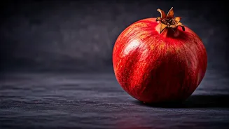 Shedding the 'Thin is In' Myth: Embracing Your Body and Reclaiming Your Narrative in Midlife