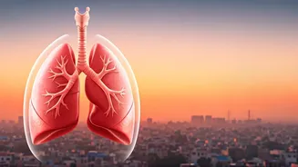Delhi Smog: How To Protect Your Lungs in 2025