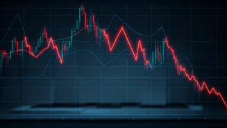Dixon Technologies Shares Dip: Analyzing the Decline