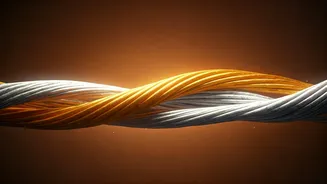 5 Essential Monthly Rituals for a Thriving, Lasting Partnership