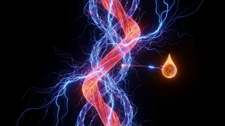Microgravity Research Is Linking Food, Movement And Energy Production
