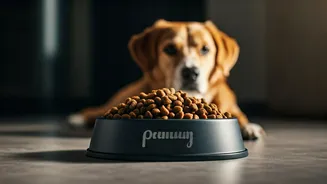 High-Protein Dog Food Is A Growing Indian Trend
