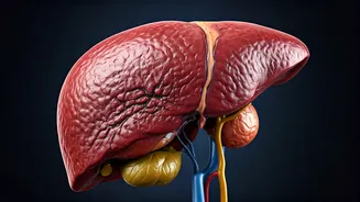 The Risks of Steroid Use: A Deep Dive