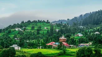 Why Northeast India's Green Landscapes Deserve Your Travel List