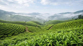 Indian Monsoon Travel Guide: 7 Mistakes That Can Disrupt A Weekend Trip