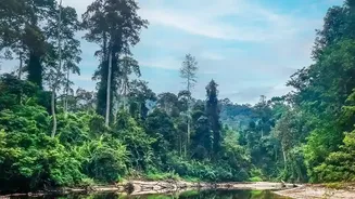 Rainforest Holidays Offer The Ultimate Escape From City Life