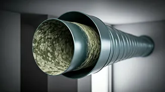 Fungus Problems Make Airflow Non-Negotiable Now