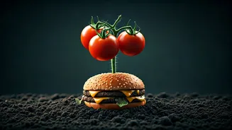 From Fast Food to Fruit: YouTuber Cultivates Tomatoes from a Burger