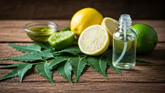 5 Natural Mosquito Repellent Hacks: Simple Desi Recipes for a Bite-Free Summer