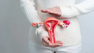 Pesquisa revela que 77% das mulheres com endometriose têm sintomas ignorados