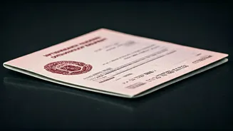 Driving Abroad? Your Indian DL Isn't Enough: Get Your International Driving Permit (IDP) Now!