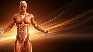 Unlock Healthy Weight Gain: 19 Effective Strategies for a Fuller Physique