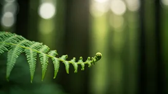 Cultivate Your Nature Connection: Simple Ways to Deepen Your Practice & Reduce Stress