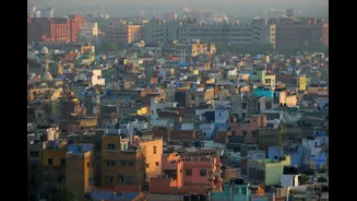 Delhi Reports 98 Dengue Cases in Early October, Total Reaches 695 in 2026