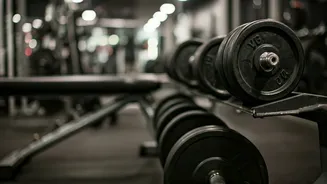 Why Push Pull Legs Remains A Top Gym Choice