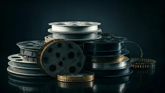 Bollywood Box Office: Who Survived, Who Stumbled?