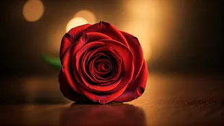 Propose Day 2026: Unveiling Its Meaning, Origins, and Delightful Celebration Ideas